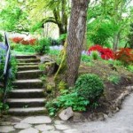 Finding Your Own Path