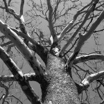 Spirituality - Poem