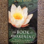 Book Review: The Book of Awakening