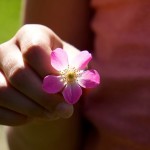 The Season of Giving